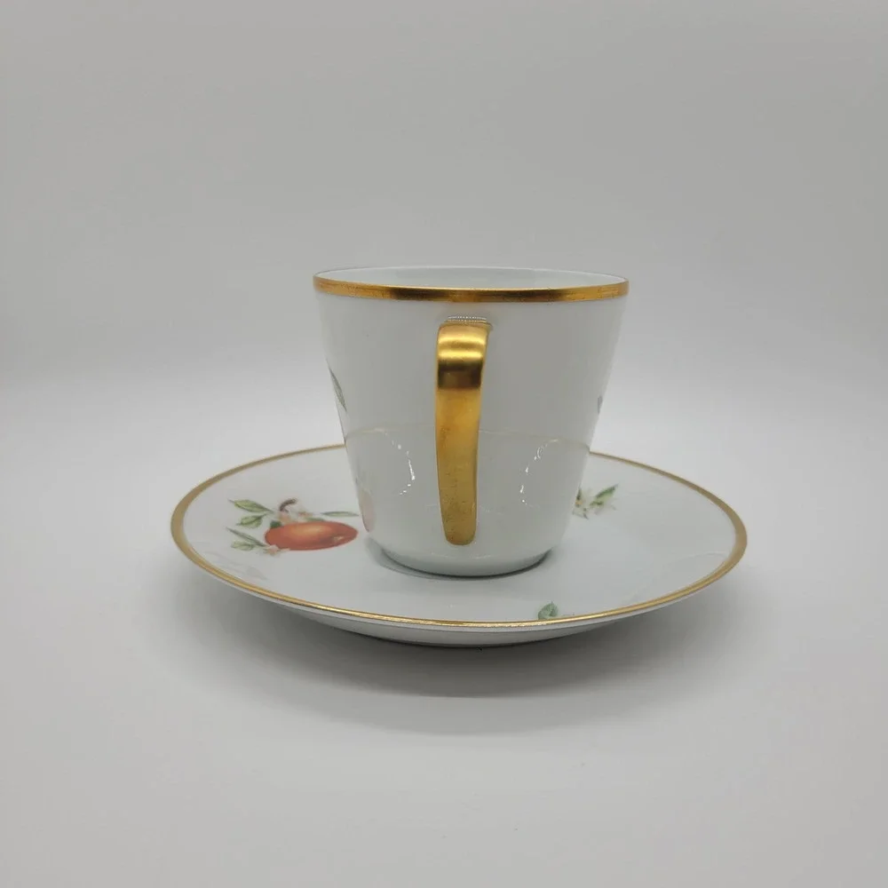 Hutschenreuther Noblesse Pasco Demitasse Cup Saucer Set Orange Gold Germany‎